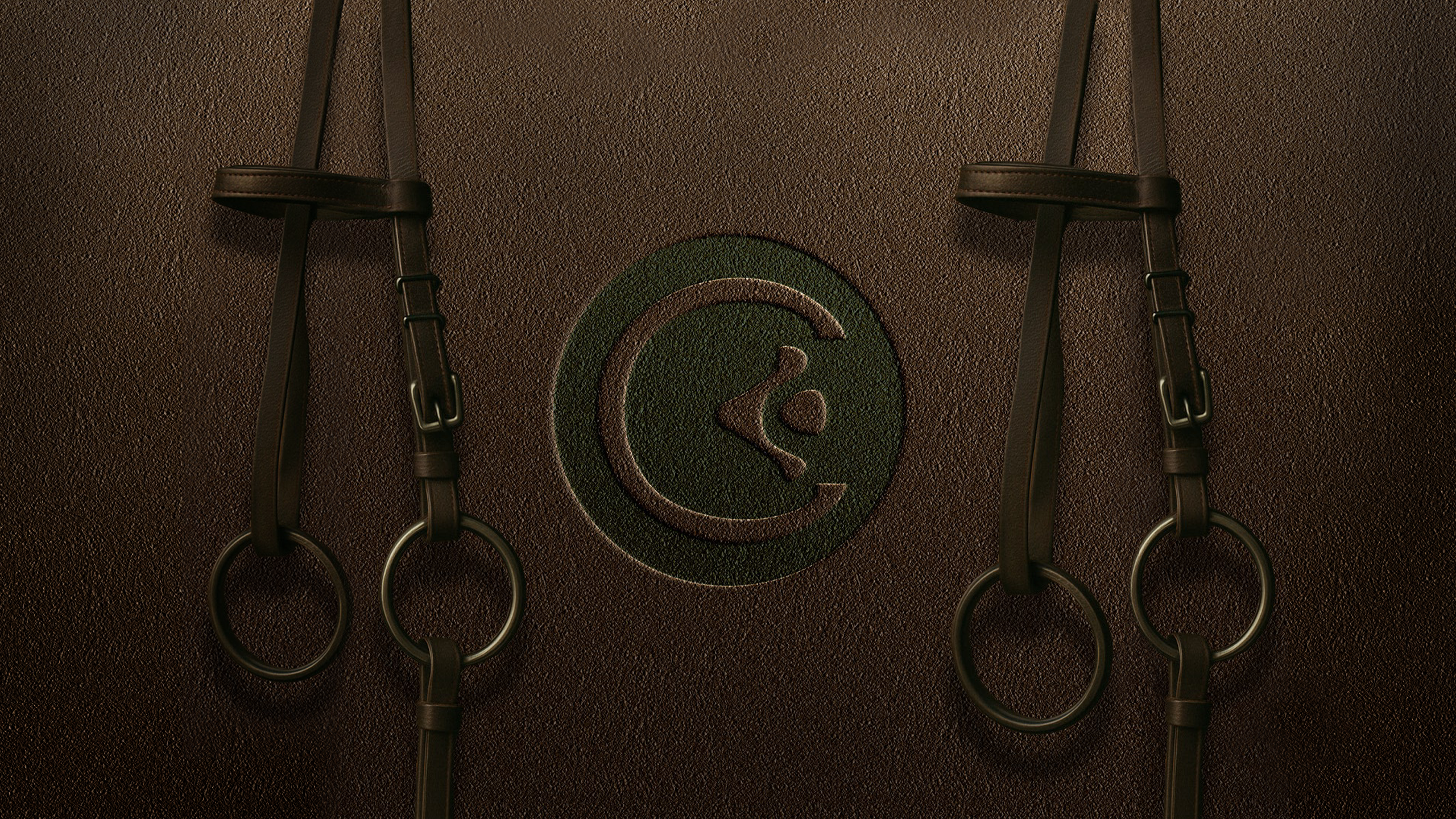 Leather Texture Background